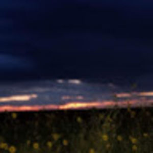 Meet your Posher, Eleanor